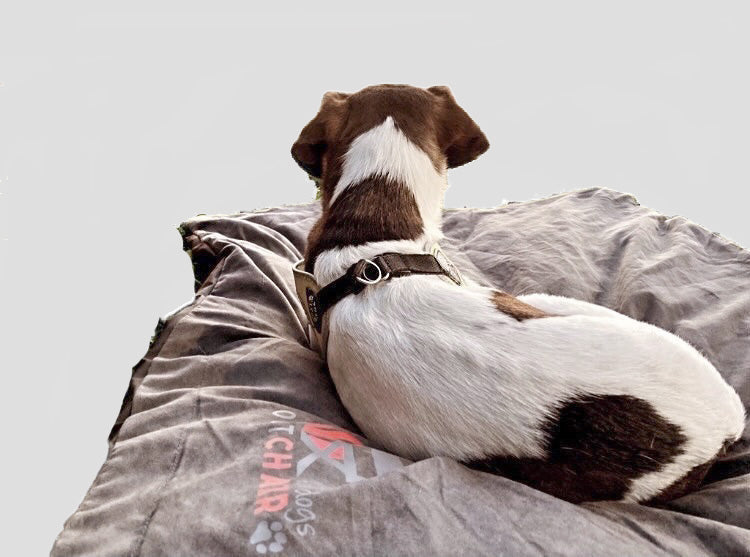 Outchair Comforter - die Heizdecke für dein Dachzelt oder Zelt, 209,90 €