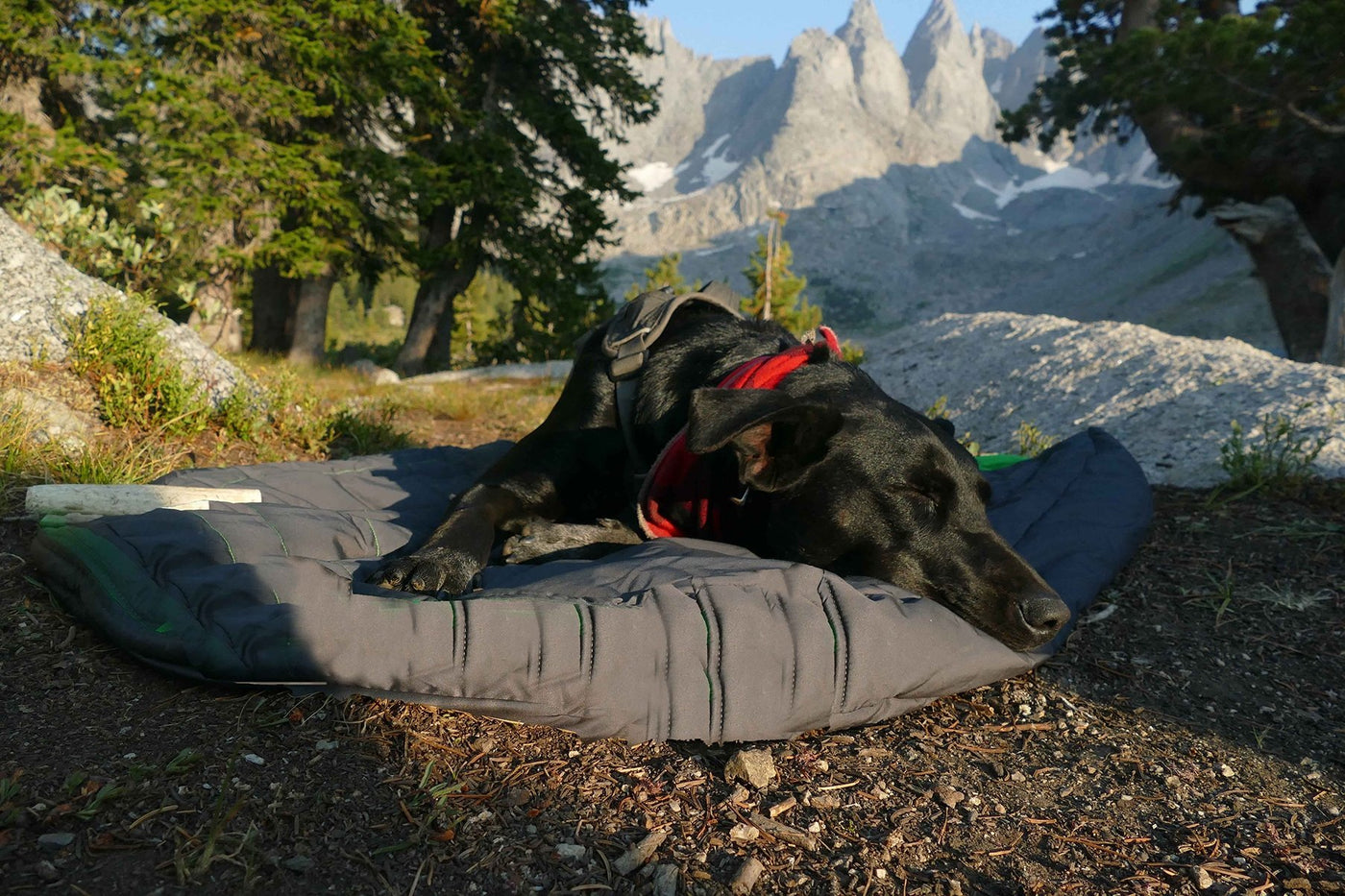 Pet Warming Blanket - Outchair_GmbH